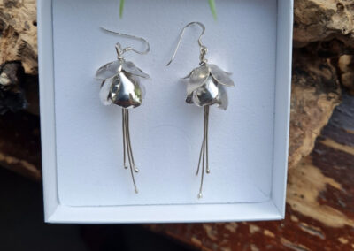 Wild Atlantic Silver