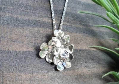 Wild Atlantic Silver